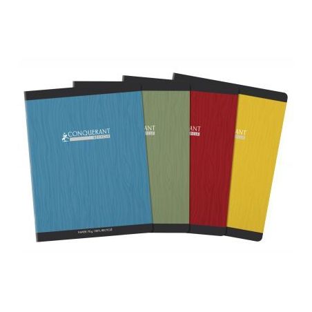 Achetez Piqûre 96 pages seyès, format 17x22 cm, papier 70g recyclé 100100375 HAMELIN pas cher sur..