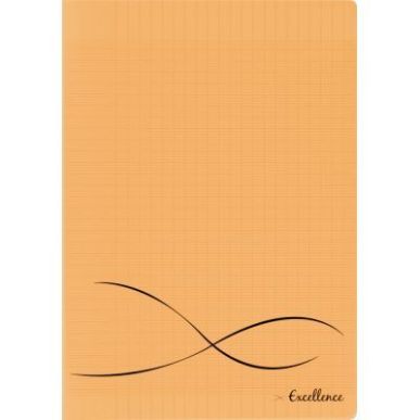 Achetez CONQUERANT C9 Cahier piqûre 17x22cm 96 pages 90g grands carreaux Séyès. Couverture polypr..