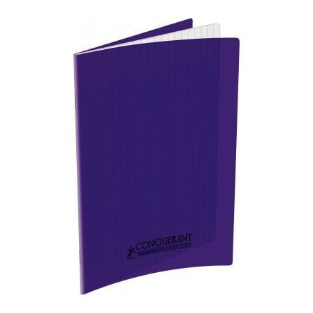 Achetez Piqûre 60 pages 17x22 cm seyès 90g couverture en polypropylène violet 100105475 HAMELIN p..