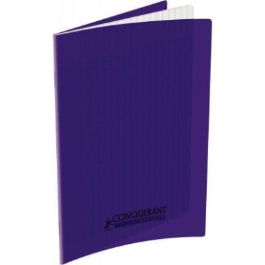 Achetez Piqûre 60 pages 17x22 cm seyès 90g couverture en polypropylène violet 100105475 HAMELIN p..
