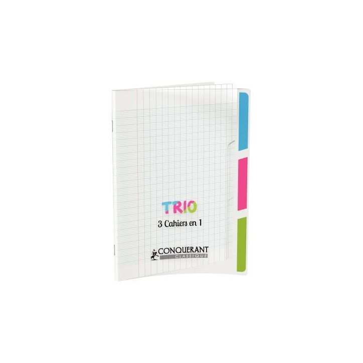 Piqûre 96 pages 3 index, couverture polypropylène, format 17x22 cm, seyès 400118838 HAMELIN