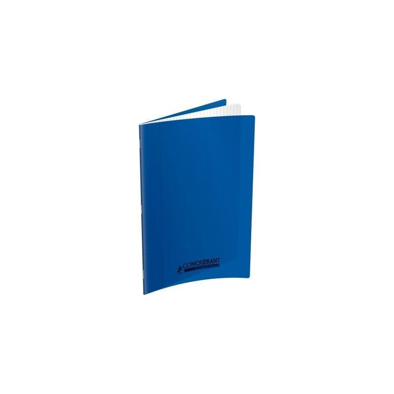 Achetez Piqûre 60 pages 24x32 cm seyès 90g couverture en polypropylène bleu 400173505 HAMELIN pas..