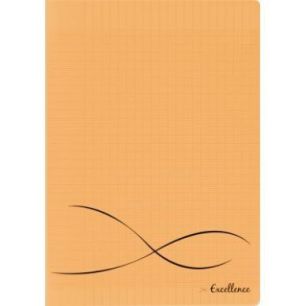 Achetez CONQUERANT C9 Cahier piqûre 24x32cm 48 pages 90g grands carreaux Séyès. Couverture polypr..