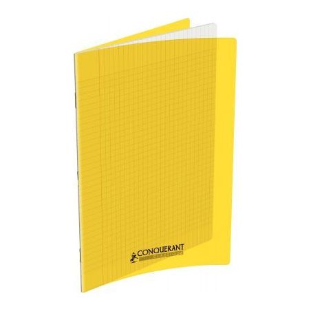 Achetez Piqûre 48 pages 24x32 cm, seyès 90g couverture polypropylène jaune 400006761 HAMELIN pas ..