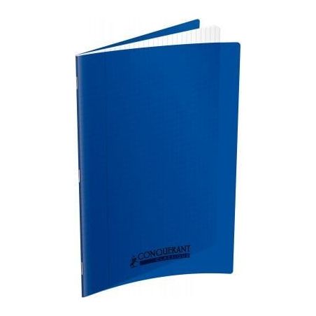 Achetez Piqûre 140 pages 24x32 cm, seyès, couverture polypropylène, bleu 400089825 HAMELIN pas ch..