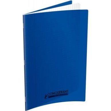 Achetez Piqûre 140 pages 24x32 cm, seyès, couverture polypropylène, bleu 400089825 HAMELIN pas ch..
