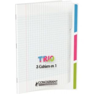 Achetez Piqûre 96 pages 3 index, couverture polypropylène, format 24x32 cm, seyès 400118839 HAMEL..