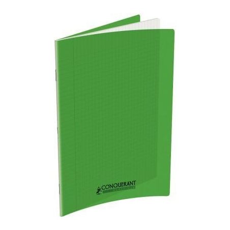 Achetez Piqûre 60 pages 24x32 cm seyès 90g couverture en polypropylène vert 400173538 HAMELIN pas..