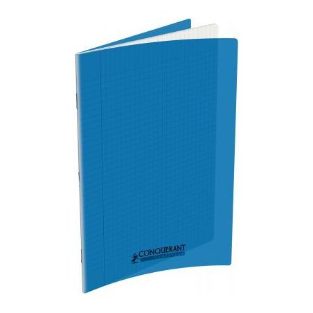 Achetez Piqûre 48 pages 24x32 cm seyès 90g couverture en polypropylène bleu 400006760 HAMELIN pas..