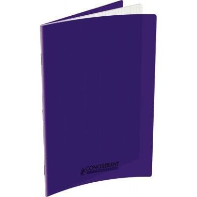 Achetez Piqûre 96 pages 24x32 cm, seyès 90g couverture polypropylène violet 100105481 HAMELIN pas..