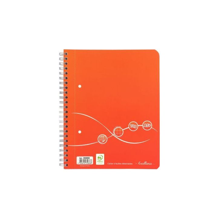 Cahier à reliure intégrale Excellence 160 pages, format A5+, quadrillé 5x5, papier 70g 400089288 EXCELLENCE