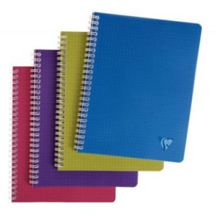 Cahier à reliure intégrale EVOLUTIV'BOOK Intensive 180 pages Format A5+ : 16x21 cm 5x5 + 3 intercalaires en Cahier à reliure intégrale EVOLUTIV'BOOK Intensive 180 pages Format A5+ : 16x21 cm 5x5 + 3 intercalaires en