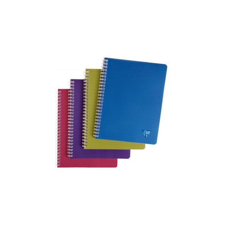 Cahier à  reliure intégrale EVOLUTIV'BOOK Intensive 180 pages Format A5+ : 16x21 cm 5x5 + 3 intercalaires en