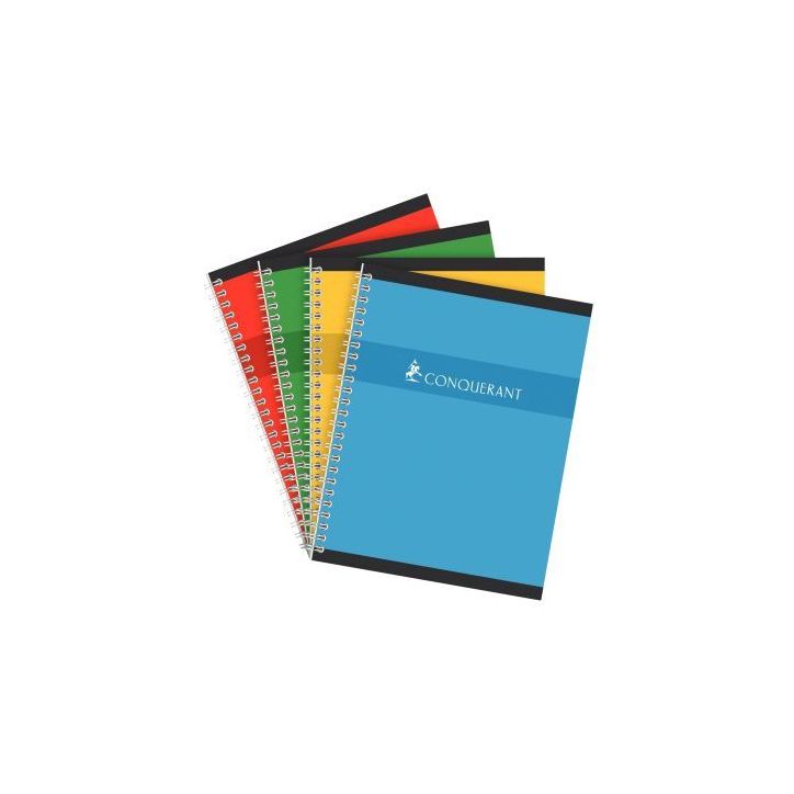 Cahier à  reliure intégrale 100 pages, format 24x32 cm, seyès 100103071 HAMELIN