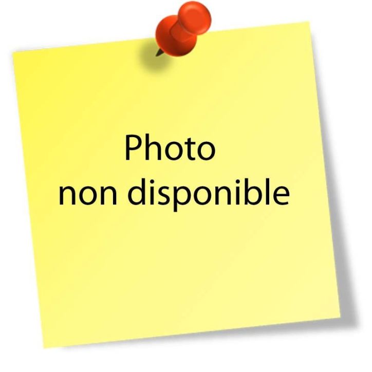 Bloc de gabarits de divisions, 50 étiquettes 400194407 OXFORD SERPODILE