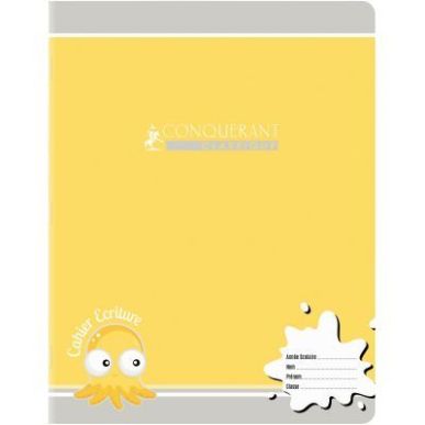 Achetez Cahier d'apprentissage piqûre 32 pages, format 17x22 cm, réglure seyès 3 mm 100102929 HAM..
