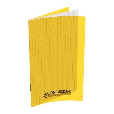 Achetez Carnet piqué en polypropylène 96 pages, 11x17 cm, 5x5, 90 g 400013592 HAMELIN pas cher sur..