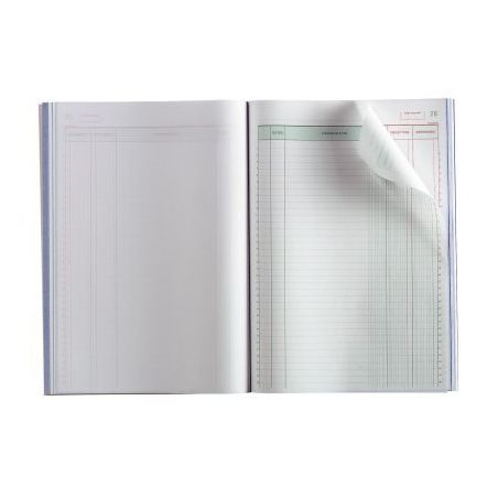 Achetez Manifold Recettes/Dépenses NCR 21 x 29,7 cm 50 duplicatas autocopiants 13500E EXACOMPTA pas..