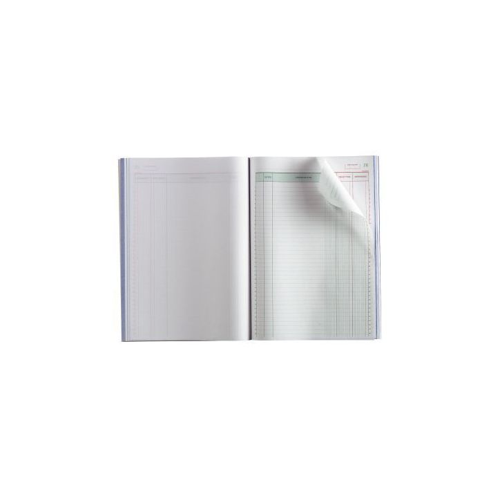 Manifold Recettes/Dépenses NCR 21 x 29,7 cm 50 duplicatas autocopiants 13500E EXACOMPTA