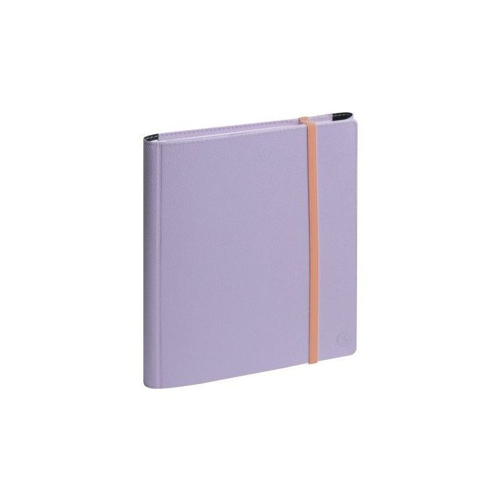 Agenda semainier All in One 15x21 Paloma 2103078E EXACOMPTA