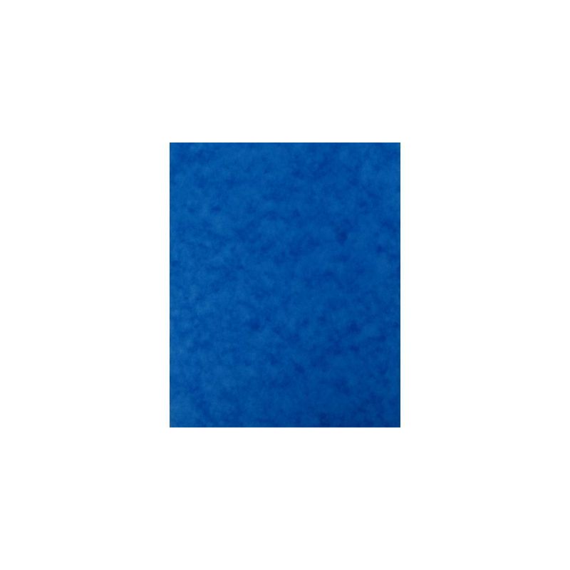 Achetez Lot de 10 protège-cahier 2 grands rabats format 18 x 22 cm carte lustrée coloris bleu P411.. Achetez Lot de 10 protège-cahier 2 grands rabats format 18 x 22 cm carte lustrée coloris bleu P411..