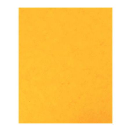 Achetez Lot de 10 protège-cahier 2 grands rabats format 18 x 22 cm carte lustrée coloris jaune P41..