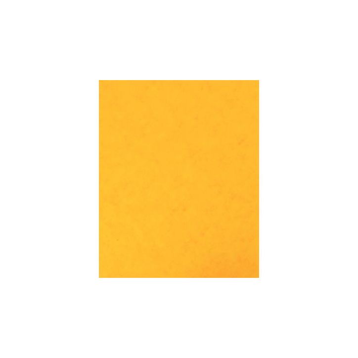 Lot de 10 protège-cahier 2 grands rabats format 18 x 22 cm carte lustrée coloris jaune P4110JAU COUTAL