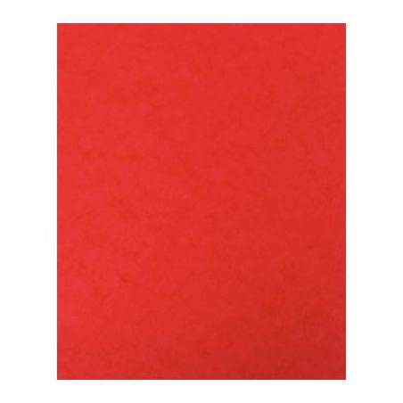 Achetez lot de 10 protège-cahier 2 grands rabats  format 18 x 22 cm carte lustrée coloris rouge P4..