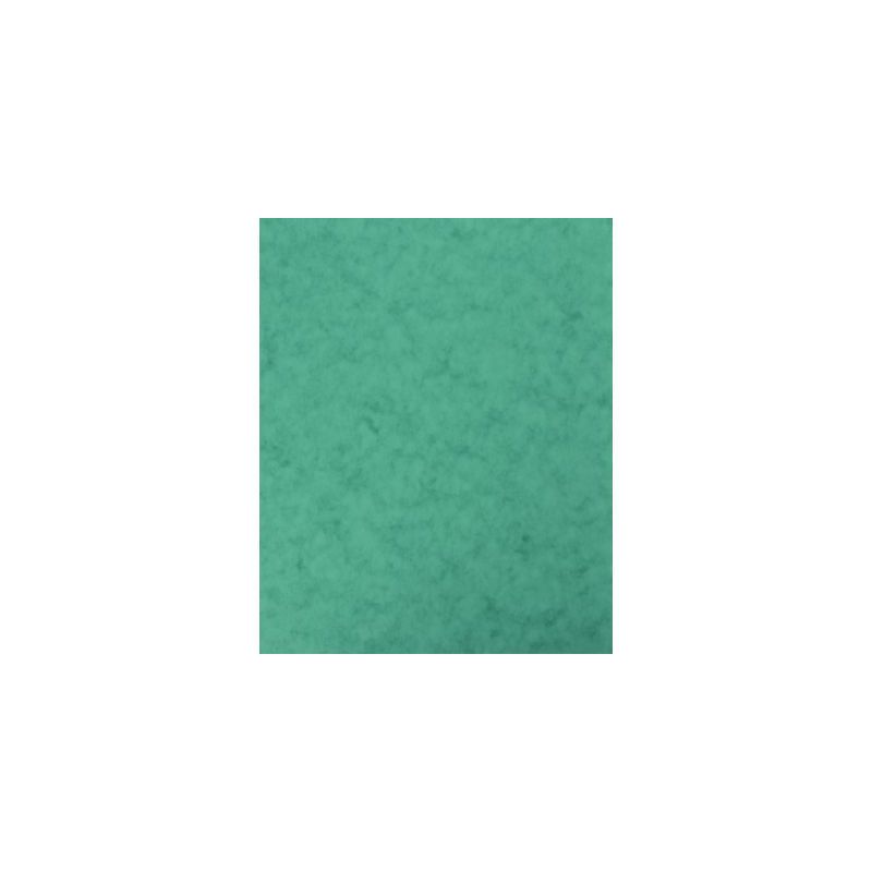 Achetez lot de 10 Protège-cahier 2 grands rabats format 18 x 22 cm carte lustrée coloris vert P41.. Achetez lot de 10 Protège-cahier 2 grands rabats format 18 x 22 cm carte lustrée coloris vert P41..