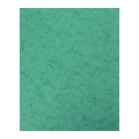 Achetez lot de 10 Protège-cahier 2 grands rabats  format 18 x 22 cm carte lustrée coloris vert P41..