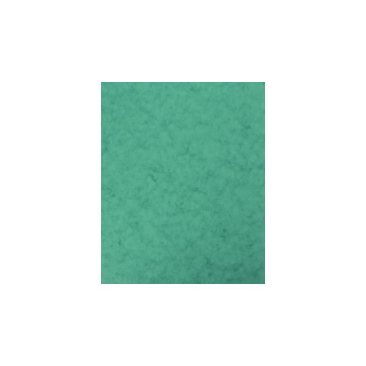 lot de 10 Protège-cahier 2 grands rabats  format 18 x 22 cm carte lustrée coloris vert P4110VER COUTAL