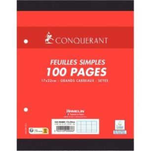 Achetez Sachet de 50 feuillets mobiles format 17x22 cm, seyès, papier 90g blanc 100101970 HAMELIN p..