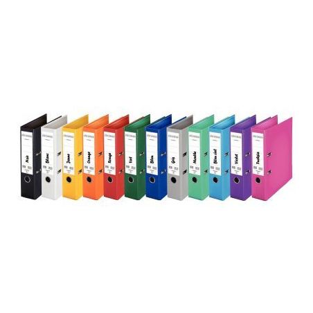 Achetez Classeur à levier CHROMOS+ dos large 8 cm, vert 230105 CHROMO + ESSELTE pas cher sur Ma Ren..