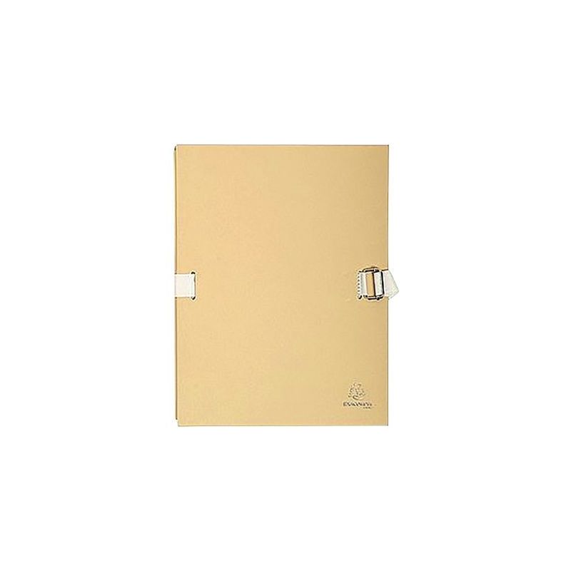 Achetez Paquet de 5 chemises à  dos extensible, carton recouvert de papier toilé, assortis 223000..