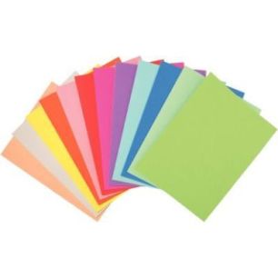 Achetez Paquet de 10 chemises 170g FOREVER, format 24x32 cm, coloris assortis 420100E FOREVER EXACOM..