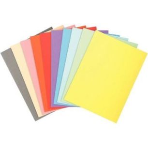 Achetez Paquet de 100 chemises 220g FOREVER, format 24x32 cm, coloris assortis 410000E FOREVER EXACO..
