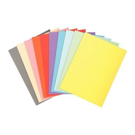 Achetez Paquet de 100 chemises 220g FOREVER, format 24x32 cm, coloris assortis 410000E FOREVER EXACO..