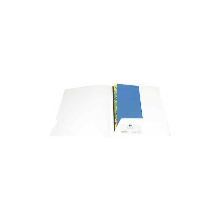 Boite de 20 chemises de présentation CHROMOLUX blanc 635017E EXACOMPTA