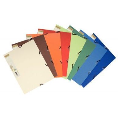 Achetez Carton de 25 chemises 3 rabats à élastiques FOREVER, coloris assortis 56980E FOREVER EXACO..