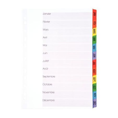 Achetez Intercalaires 12 touches de janvier à décembre format A4 : 21x29,7 cm 8317412-980 LANDS pa..