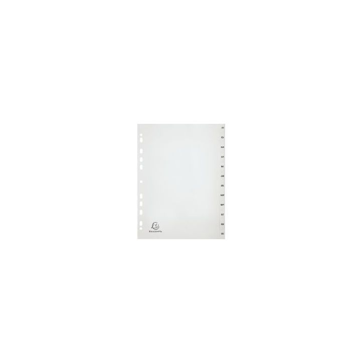 Jeu de 12 intercalaires mensuels en polypropylène gris recyclé, format A4 1812E FOREVER EXACOMPTA