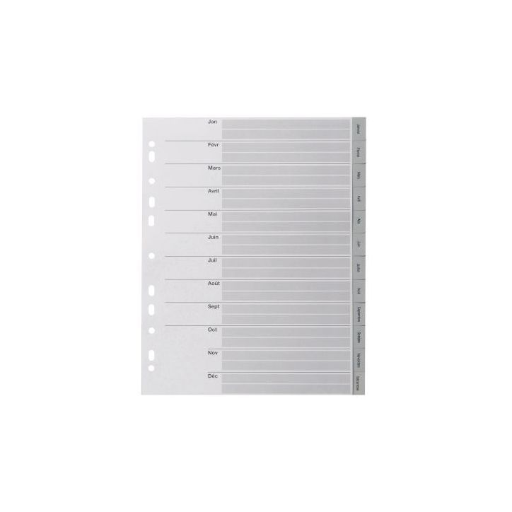 Jeu de 12 intercalaires mensuels en polypropylène gris format A4+ 100745247 NOKI