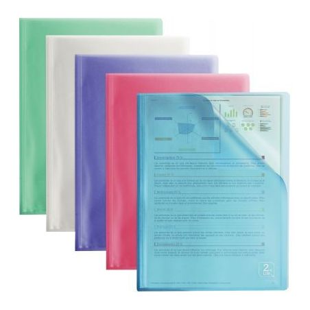 Achetez Protège-documents en polypropylène 2ND LIFE 40 pochettes / 80 vues pour format A4 coloris ..