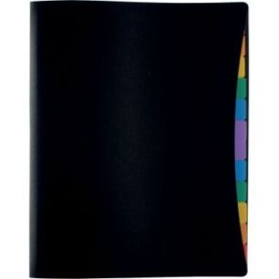 Achetez Trieur porte-vues en polypropylène, 12 compartiments 491067-05 RAINBOW CL VIQUEL pas cher s..