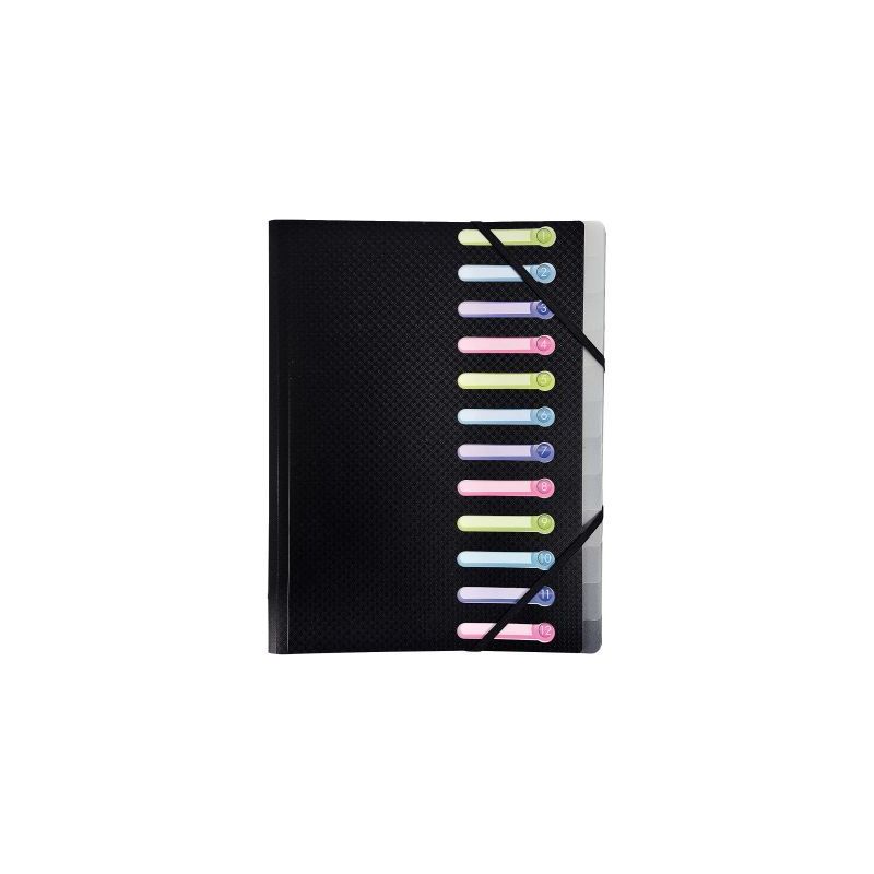 Achetez Trieur en polypropylène OPAK 12 compartiments, coloris noir 55981E OPAK EXACOMPTA pas cher ..