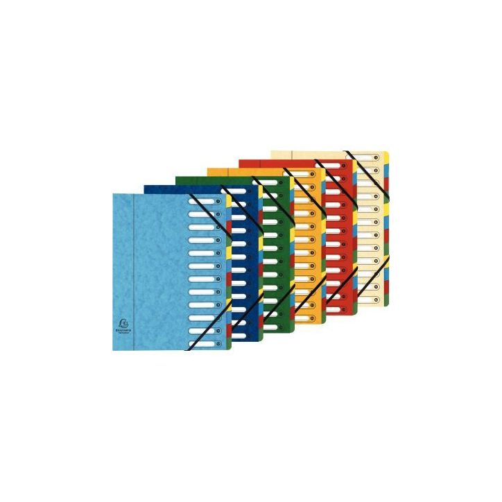 TRIEUR 12 COMPARTIMENTS A FE NETRE 5/10E DOS EXTEN