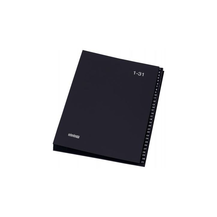 Trieur numérique 31 compartiments coloris gris 762.3213 EXTENDOS