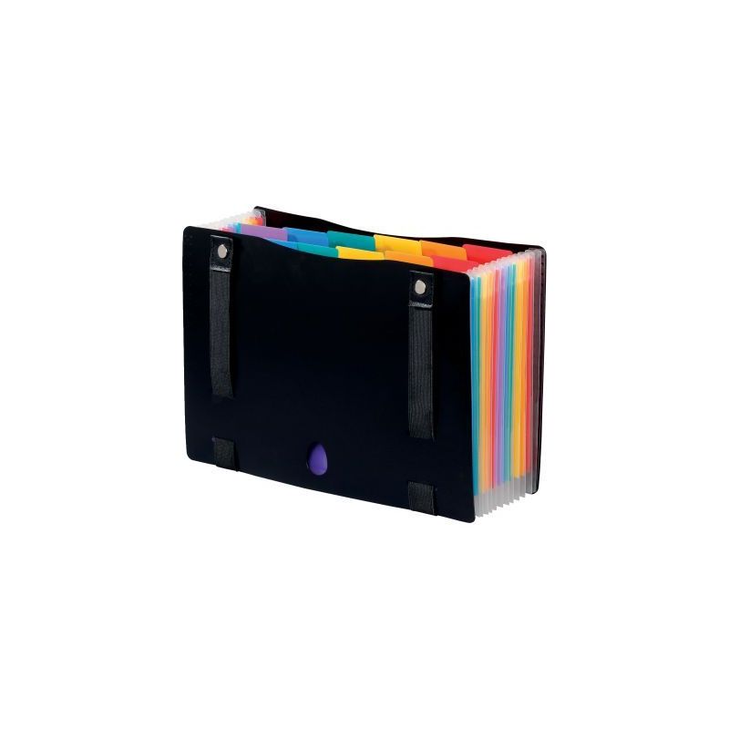 Achetez Trieur extensible RAINBOW CLASS en polypropylène avec sangles, 12 compartiments 998267-03 R.. Achetez Trieur extensible RAINBOW CLASS en polypropylène avec sangles, 12 compartiments 998267-03 R..