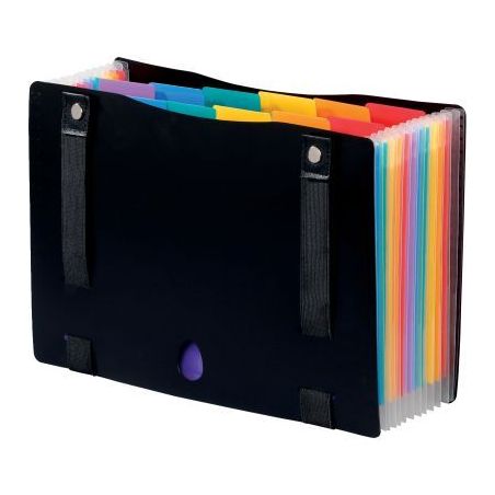 Achetez Trieur extensible RAINBOW CLASS en polypropylène avec sangles, 12 compartiments 998267-03 R..