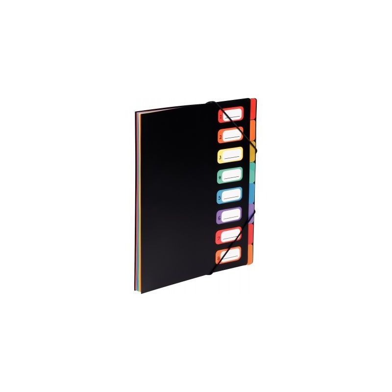 Achetez VIQUEL Trieur RAINBOW 8 compartiments à  soufflet en polypro 5/10, extérieur Noir intéri..